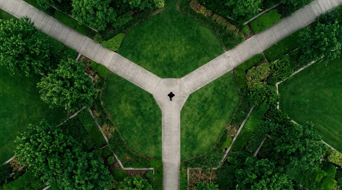 Aerial view of a person at the convergence of three geometric pathways in a vibrant green urban park, symbolizing integrated strategies for finance, benefits, and education.