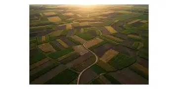 Aerial drone view of geometrically patterned agricultural fields symbolizing complex data and interconnected systems of education, finance, and benefits.